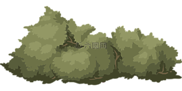 布什,自然,绿色