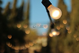 光,温暖,灯泡