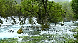 九寨沟,风景,瀑布