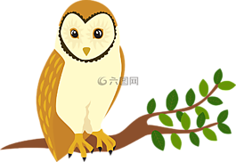 猫头鹰,森林,动物