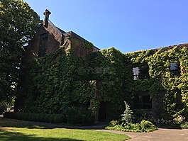 concordia,大学,波特兰