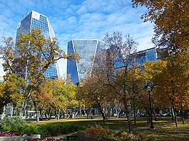 里贾纳,加拿大,城市