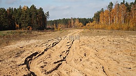 土路,路在树林里,道路