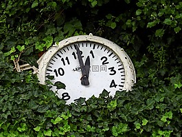 时钟,时间,时间显示