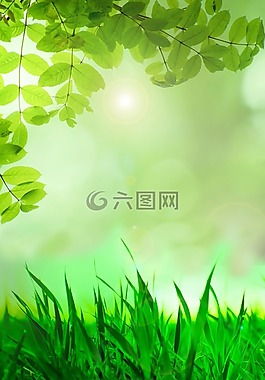 春,叶子,绿色