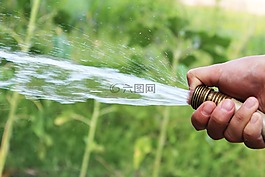 水,软管,花园
