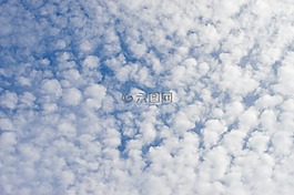 云,云哥,云羊