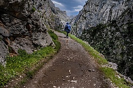 景观,山,关心