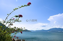 山,海,花