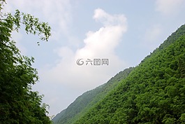风景,山,竹林