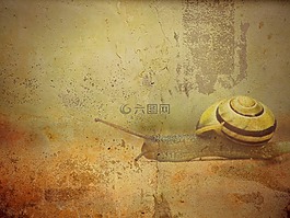 纹理,背景,蜗牛