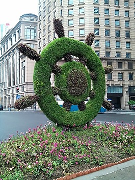 船舵,植物,景观