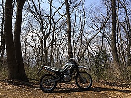 体育,交通,自然景观