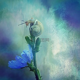 纹理,背景,蜗牛