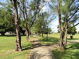 关岛大学,校园,自然