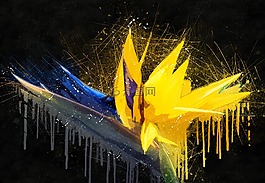 花,天堂鸟之花,鹤望兰
