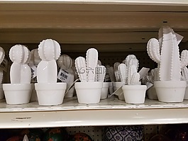 仙人掌,陶瓷,装修