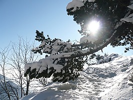 山,登山,徒步旅行