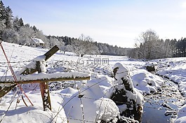 雪景,森林,太阳