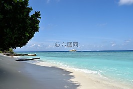 砂,海滩,夏天