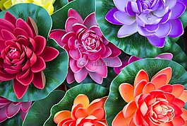 鲜花,人工,剪纸艺术