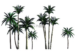 unknow,name,tree