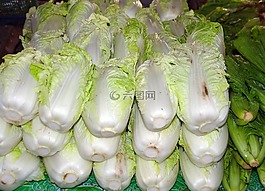 蔬菜,中国菜,pe-蔡