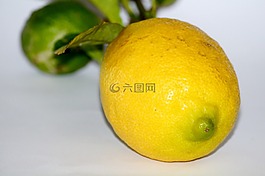 柠檬,黄色,酸