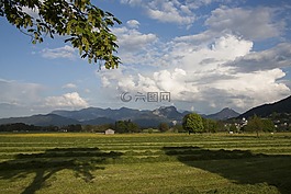 春天,阳光,五月