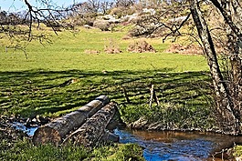 narvau 峡谷,女招待,nièvre