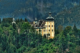 针叶林,性质,旅行