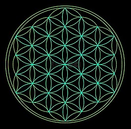生命之花,几何,宇宙