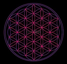 生命之花,几何,宇宙