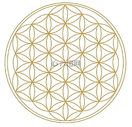 生命之花,几何,宇宙