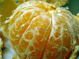橘,水果,食品
