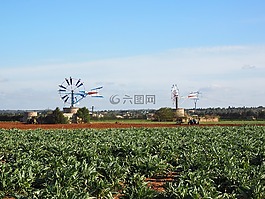 风车,马洛卡,穆罗