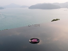 太阳月亮湖,反射池塘,花