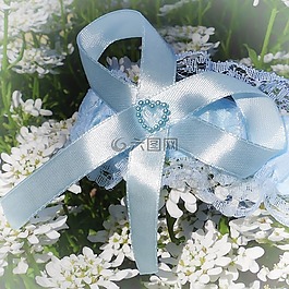 婚礼,吊袜带,鲜花