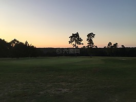 高尔夫球场,太阳晚报,航道