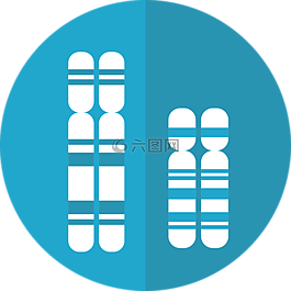 染色体,遗传学,dna