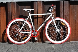 自行车,鸽子飞来飞去,fixie