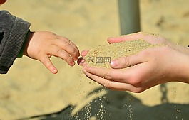 手,沙,孩子的手