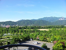 束草市,蔚山岩,通达的地方行政
