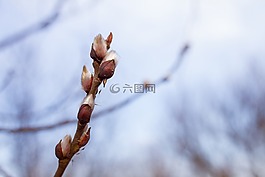 春,基础,性质