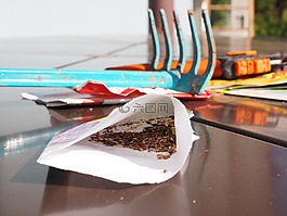 园艺,种子,播