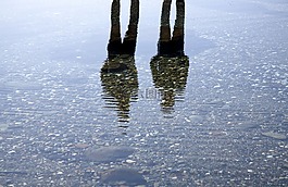 反射,阴影,砾石