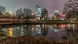 城市,城市景观,全景