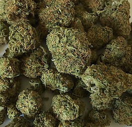大麻,杂草,药物