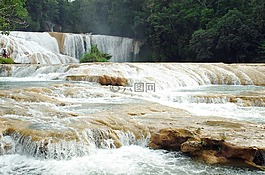 墨西哥,agua azul,叶栅