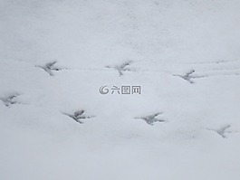 雪,痕迹,足迹